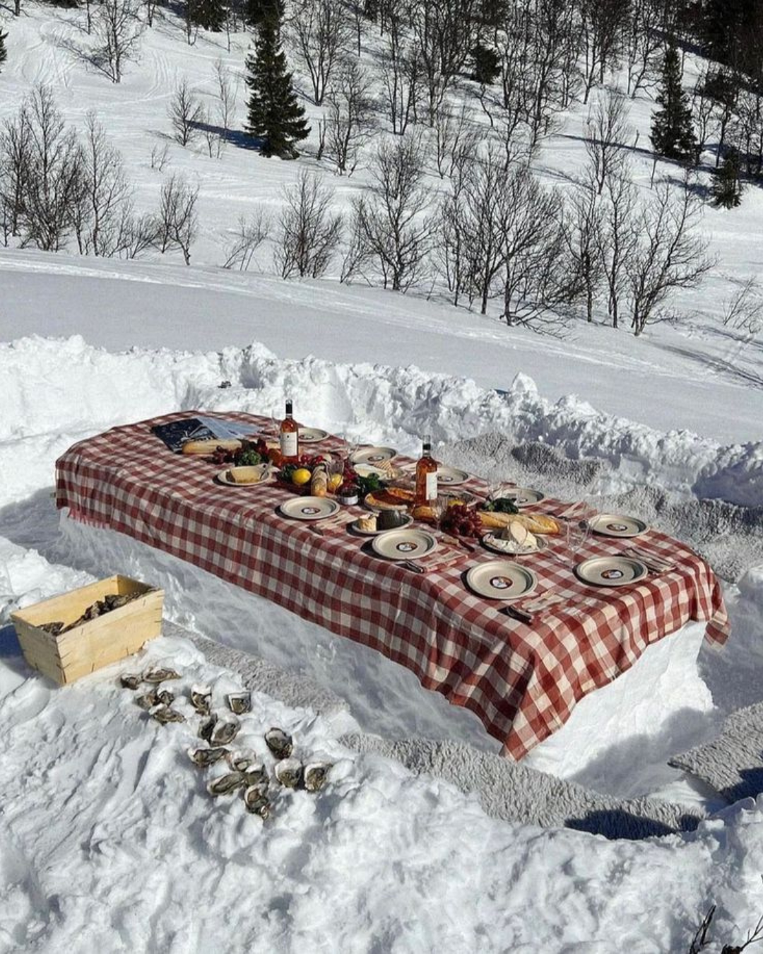 Le meilleur vin au ski avec les amis : réconfort et bonnes bouteilles
