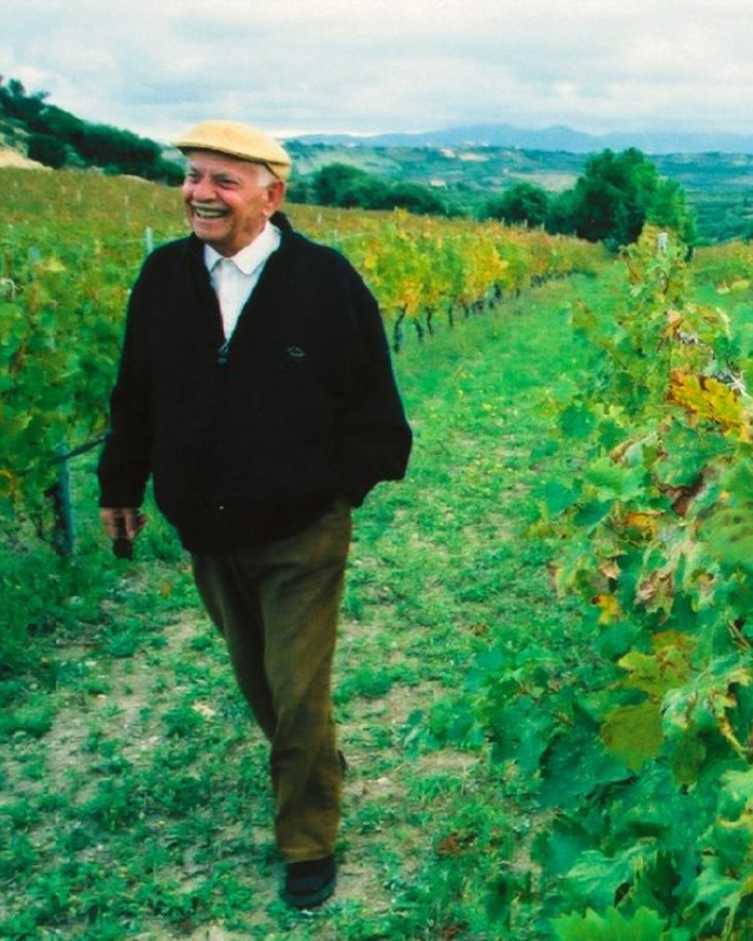 critique de vin se balade dans des vignes