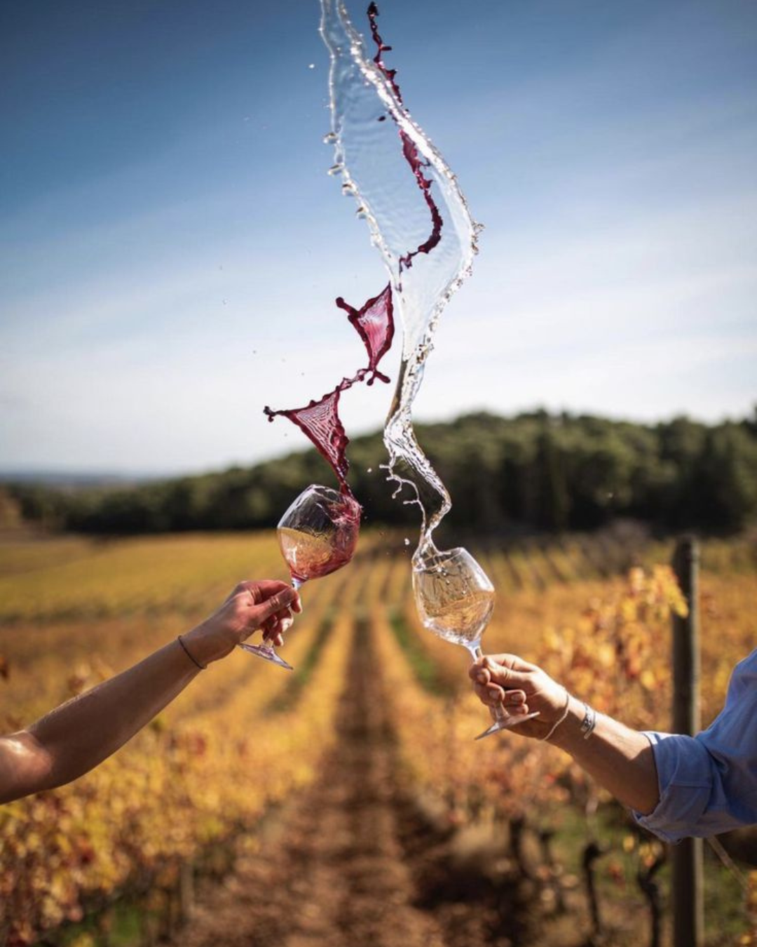 Le vin en 2030 : comment le réchauffement climatique va redessiner nos cartes des vins