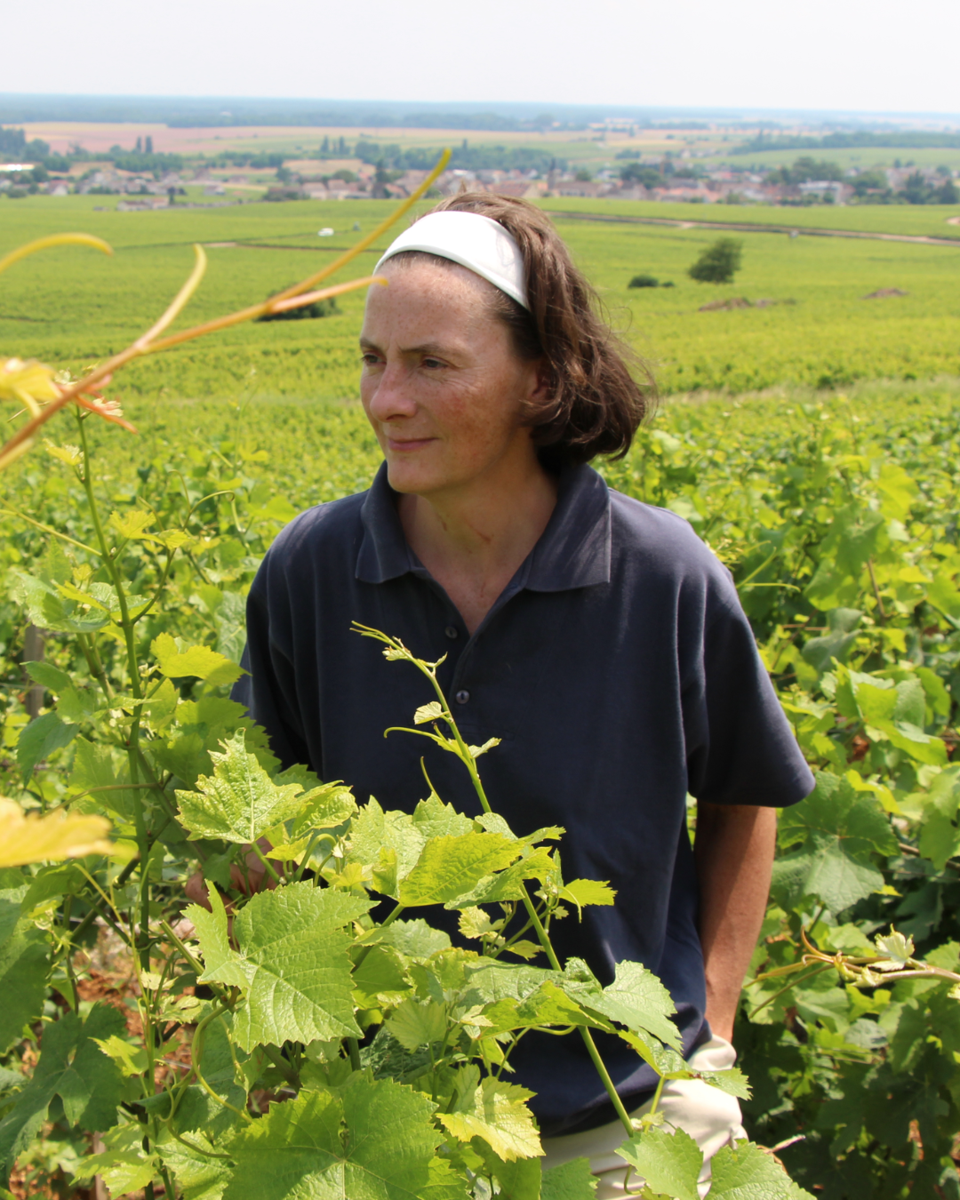 Claire Naudin : la vigneronne qui bouscule la Bourgogne (avec grâce)