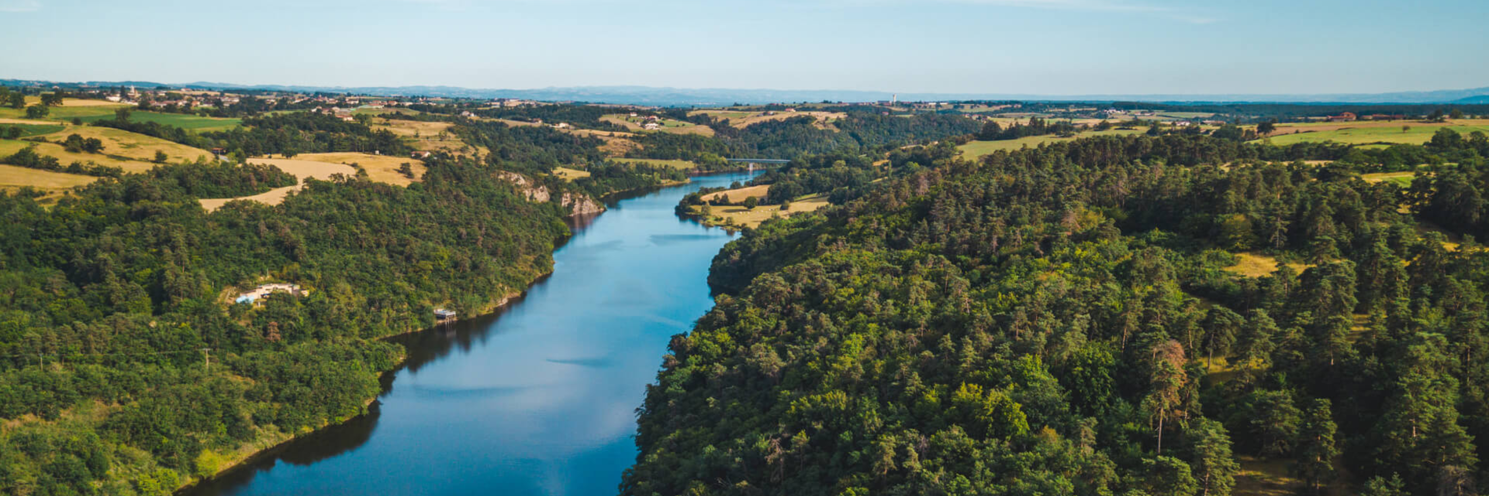 Rivière serpentant entre forêts et vignobles, évoquant la douceur ligérienne