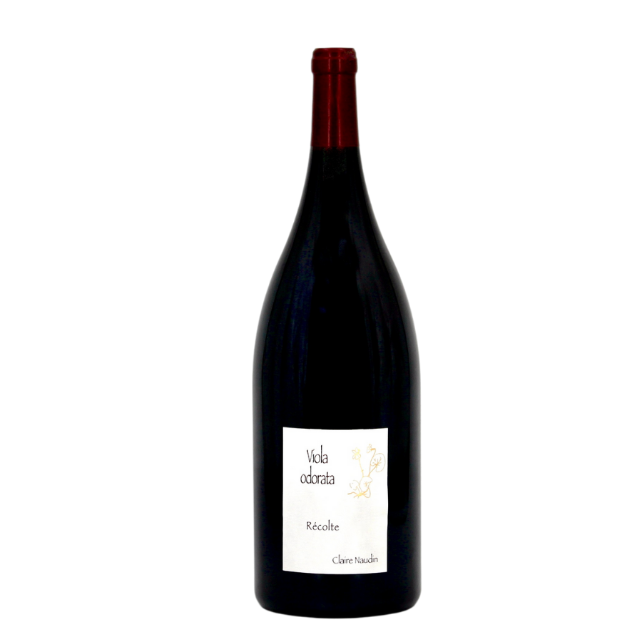 Viola Odorata - Récolte - Côte de Nuits-Villages - 2022 - Claire Naudin  - 1,5L - Magnum
