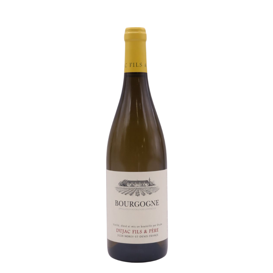 Bourgogne Blanc - 2018 - Dujac Fils & Père - 0,75L