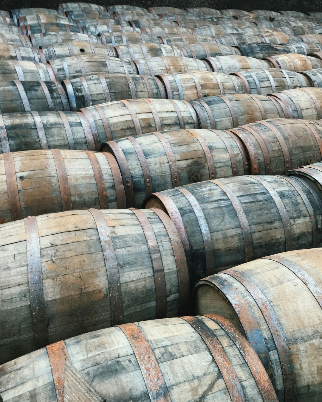 tonneau de vin de belles cuvée dans un grand chateau