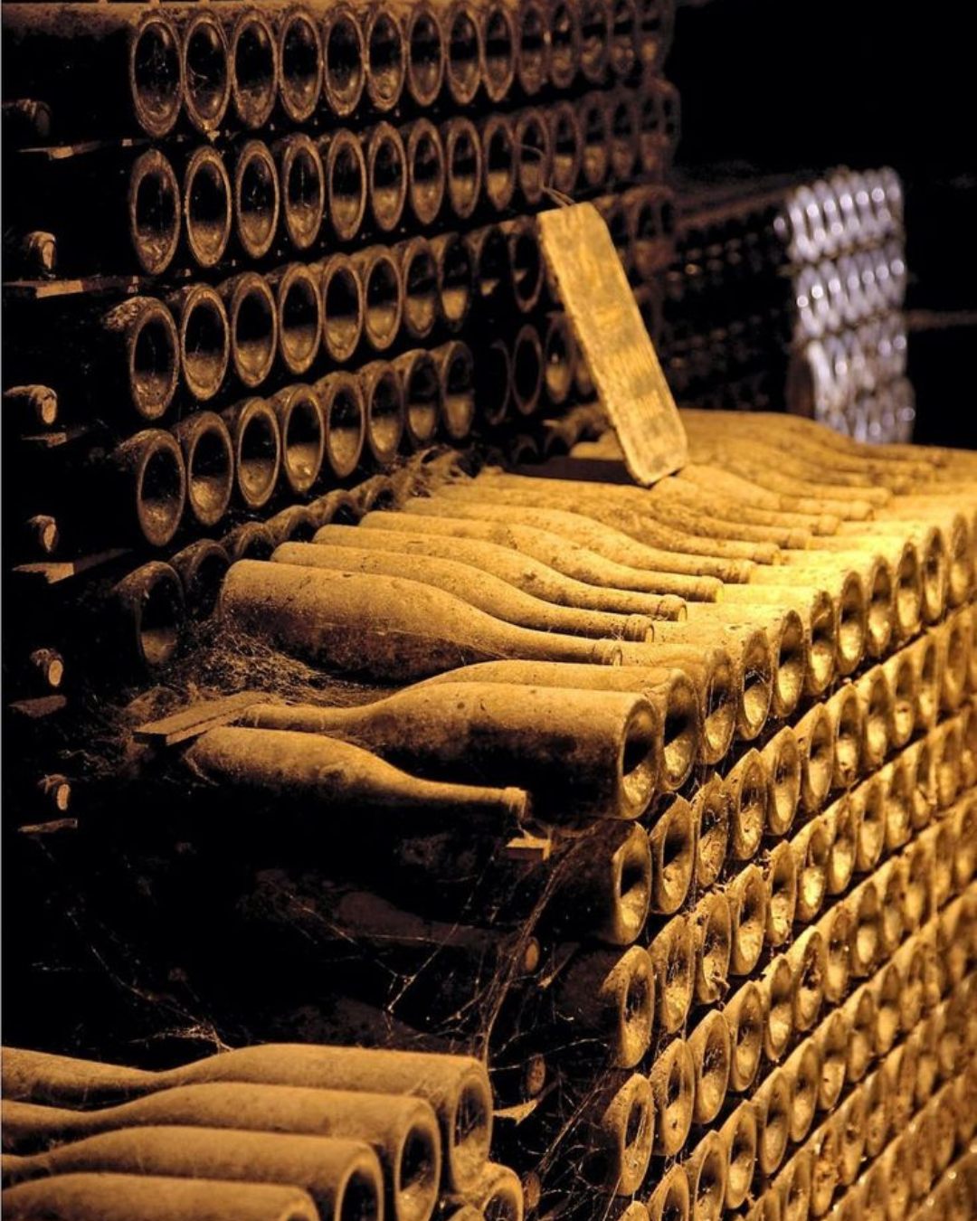 Les 5 erreurs qui ruinent un grand vin en cave