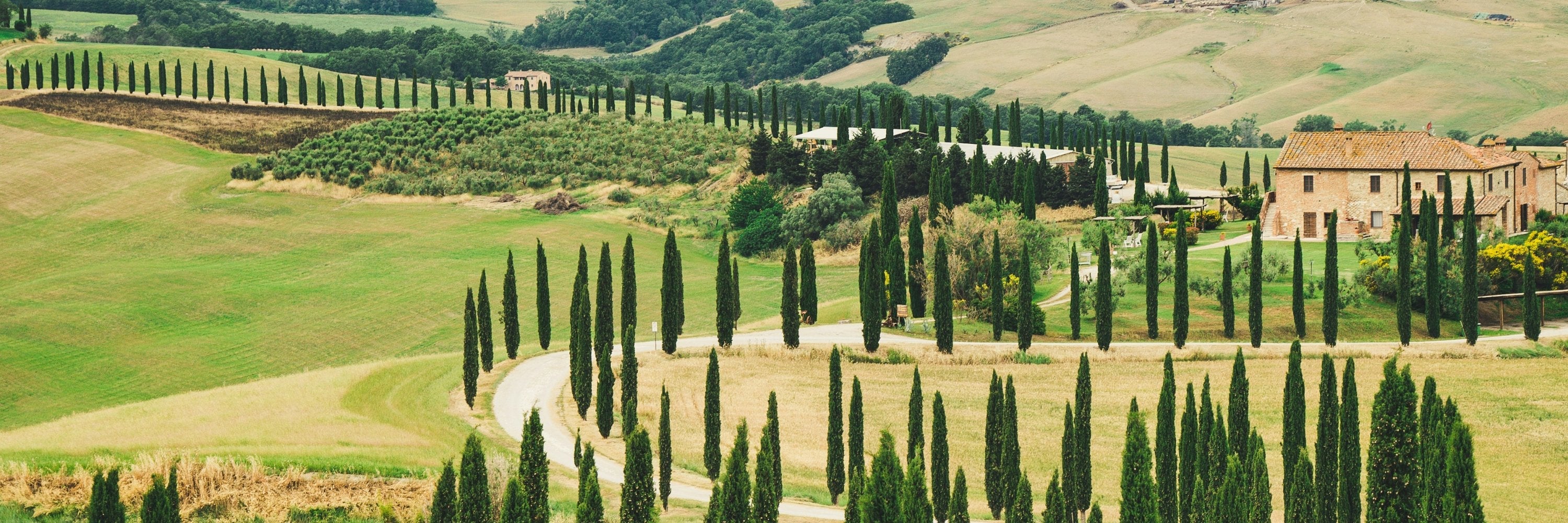 Collines de Toscane bordées de cyprès et de vignobles, évoquant l’authenticité et la richesse des vins italiens