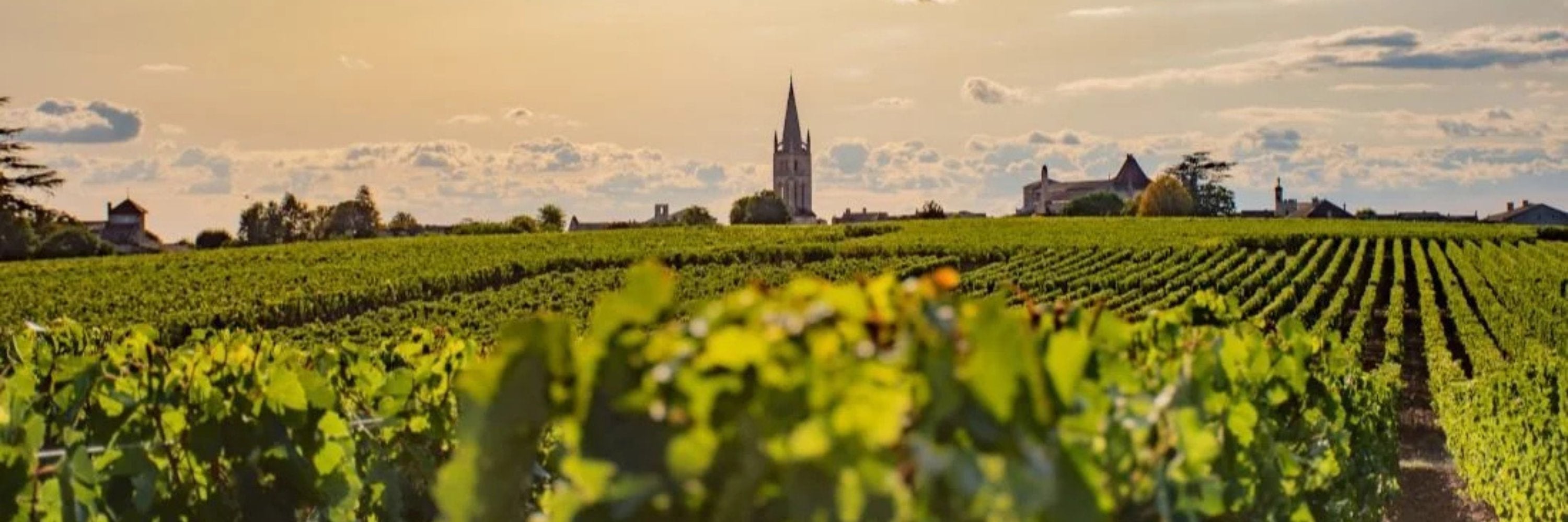 Vignoble bordelais au coucher du soleil avec une église en arrière-plan, capturant l’élégance du terroir de Bordeaux