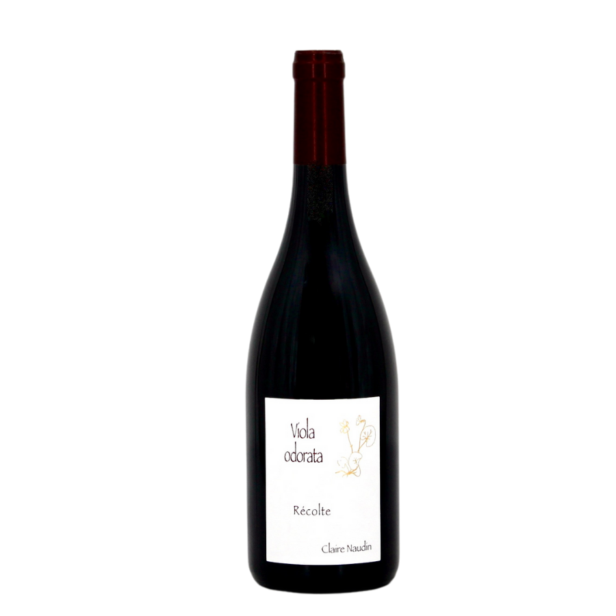 Claire Naudin Viola Odorata Vieilles Vignes 2021 – un Pinot Noir complexe et intense, où se mêlent fruits rouges, épices douces et une finale longue