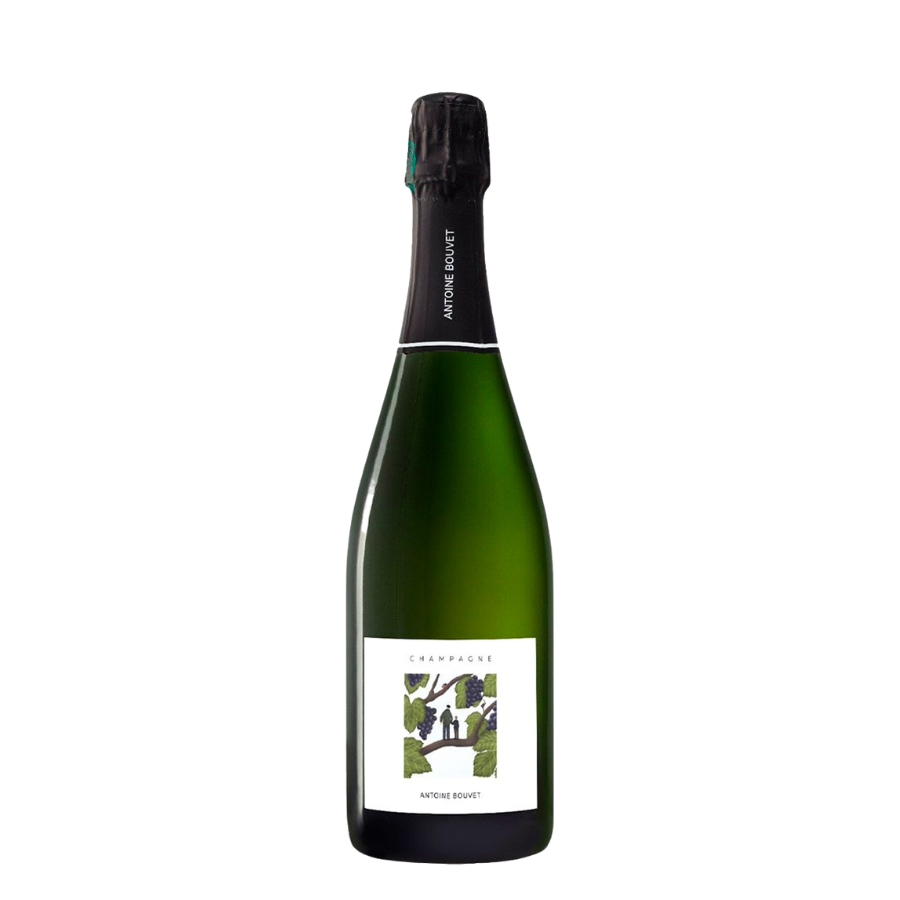 Vintage 2015 - Antoine Bouvet - 0,75L